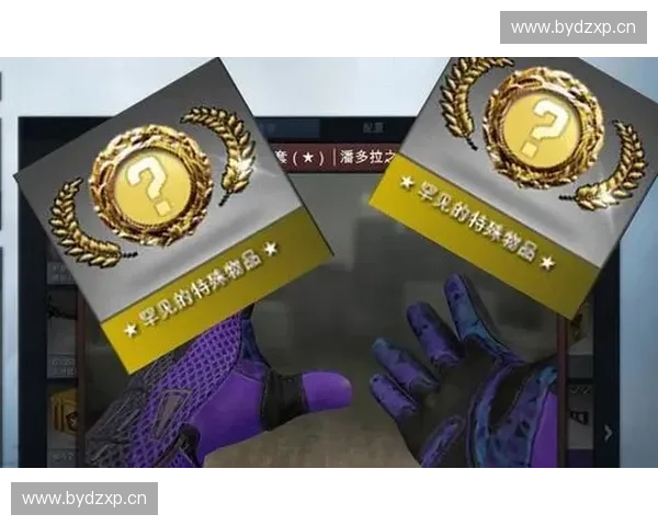 聚焦CSGO职业选手成长之路与赛场背后的奋斗与坚持 聚焦CSGO职业选手成长之路与赛场背后的奋斗与坚持